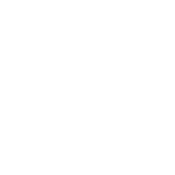 Image icon