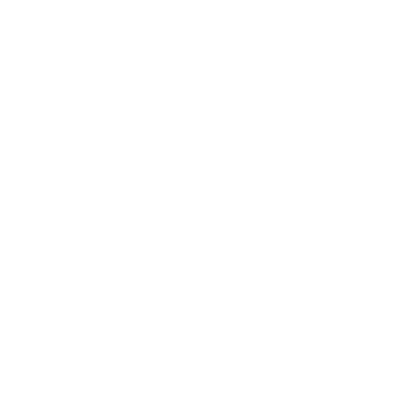 Image icon